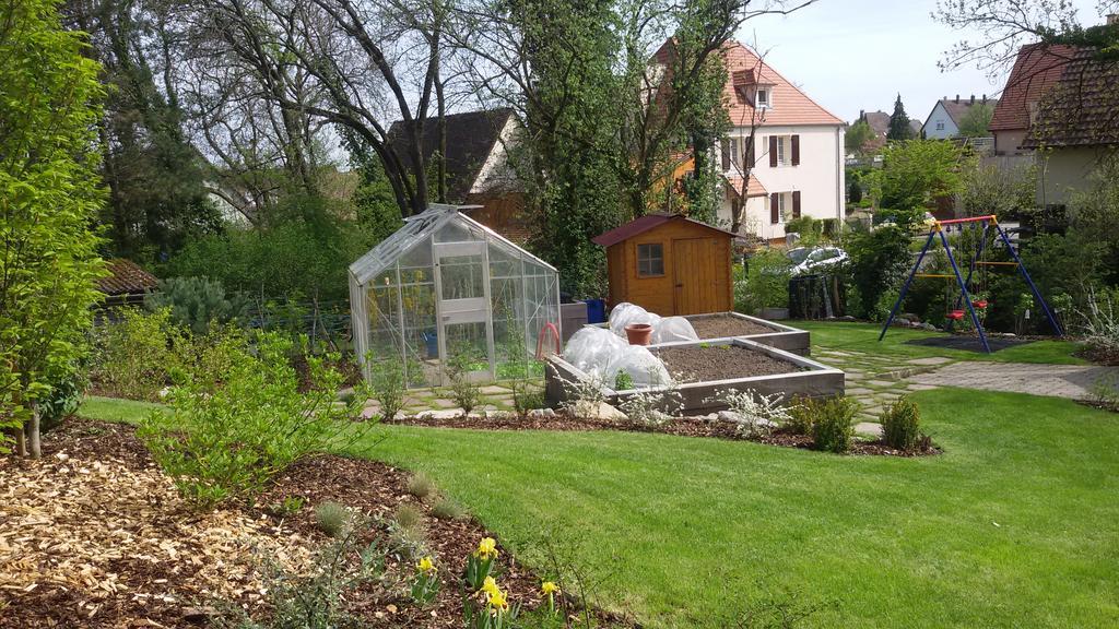 Gite Des Merles Mittelwihr Exterior foto